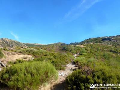 Pico Santuy; El Cerrón; viajes organizados para grupos; viaje camino de santiago bosques en otoño